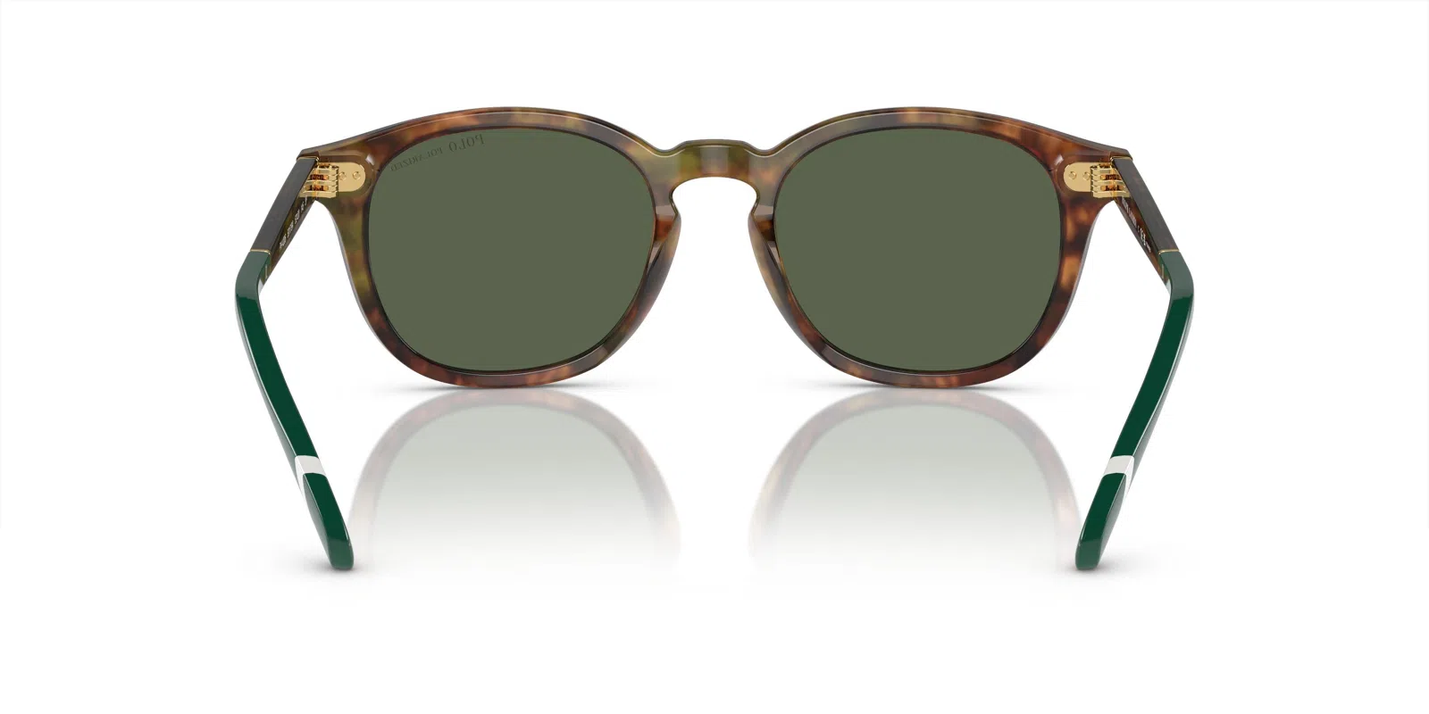Polo 4206 Sunglasses - view 26